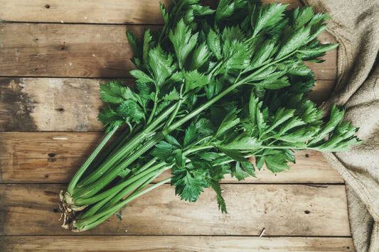 Celery Leaves ( Daun Sup ) / 100g