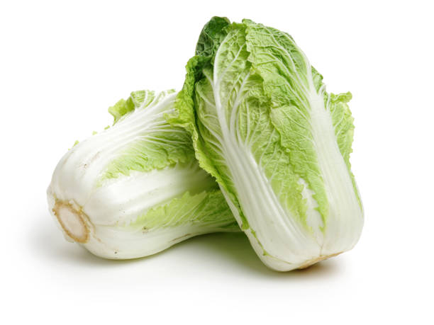 China Chinese Cabbage || 1.3 - 1.4kg