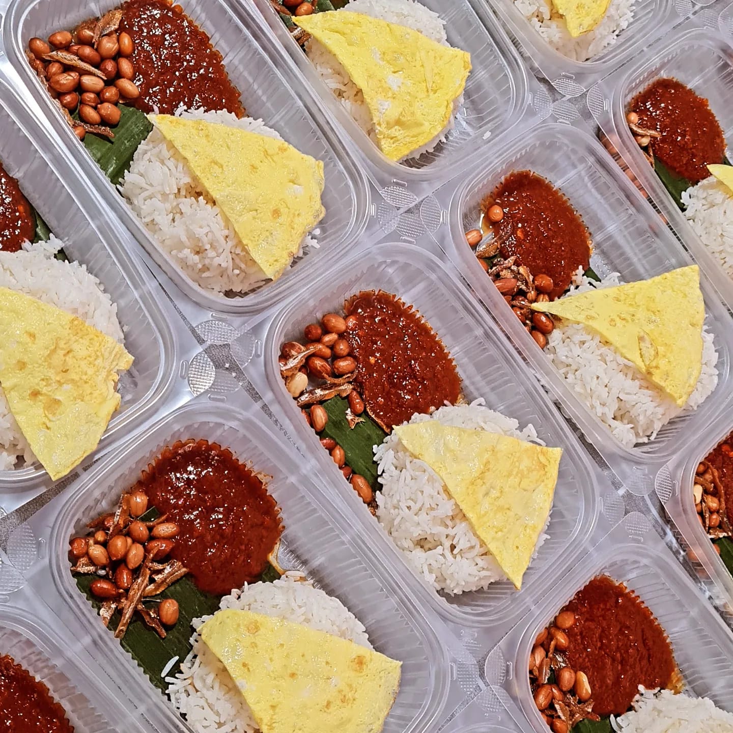Economical Standard Nasi Lemak