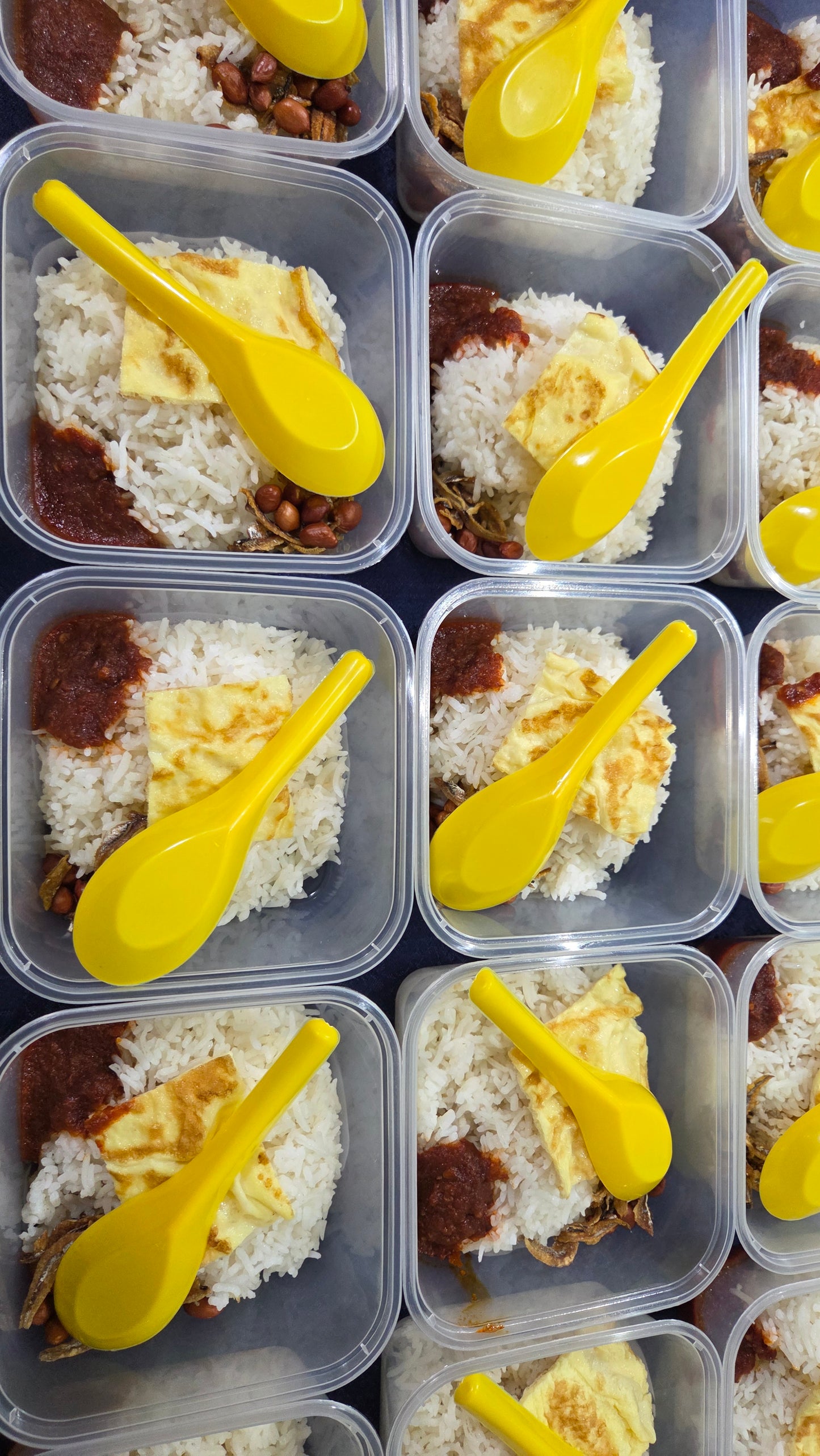 Economical Nasi Lemak Standard | Square Container - Serves 1 pax