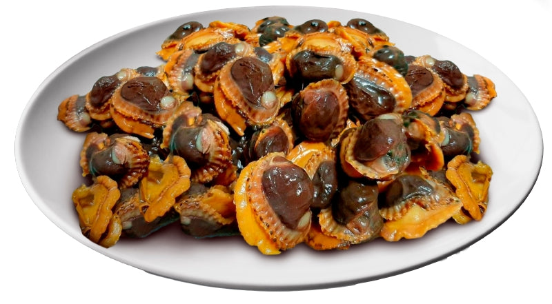 Frozen Cockles Meat (Isi Kerang) || 1kg