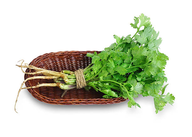 Thailand Coriander / 50g*