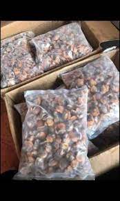 Frozen Cockles Meat (Isi Kerang) / 1kg*