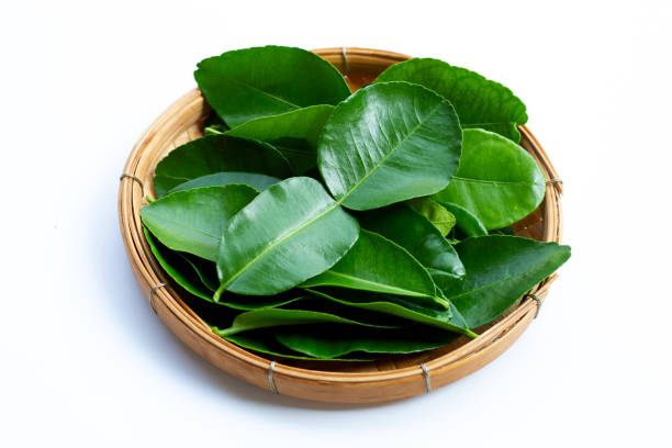 Kaffir Lime Leaves (Daun Limau) / 50g*