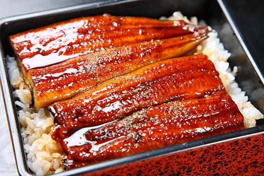 Halal Frozen Premium Unagi Kabayaki / 200g