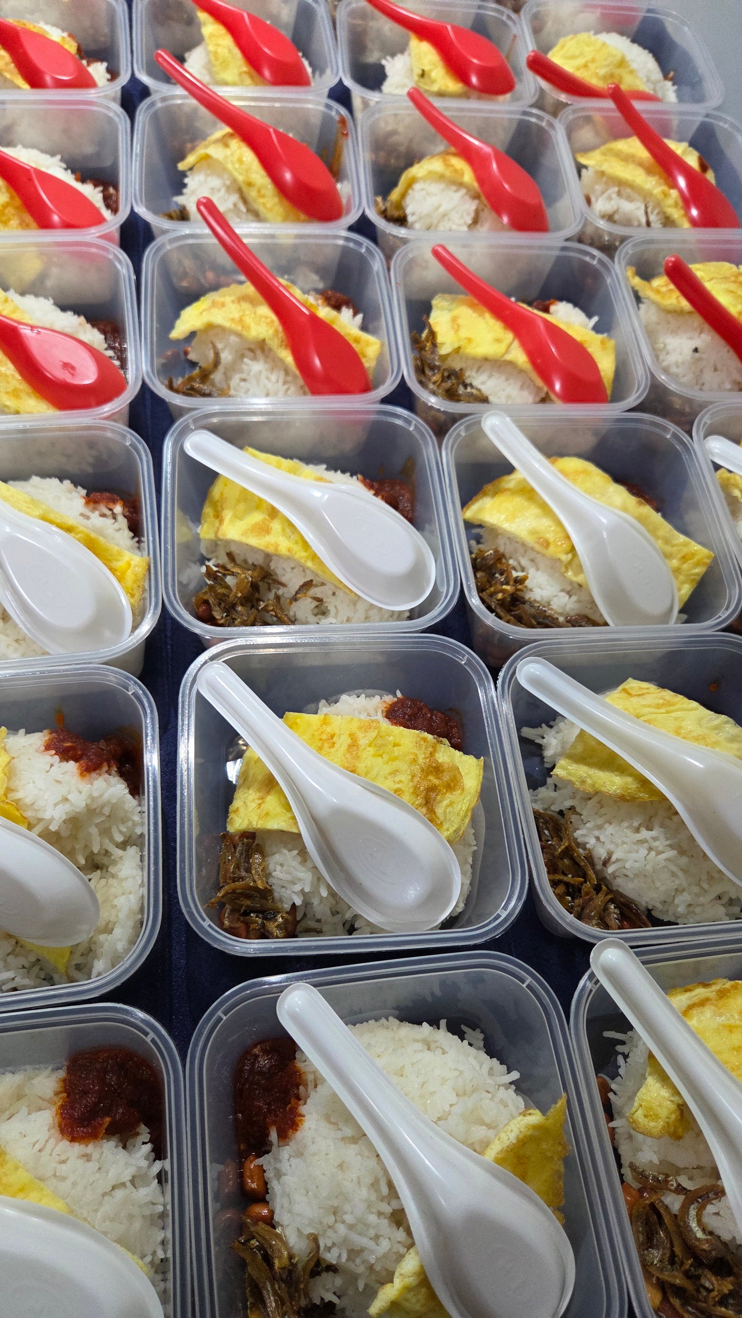 Economical Nasi Lemak Standard | Square Container - Serves 1 pax