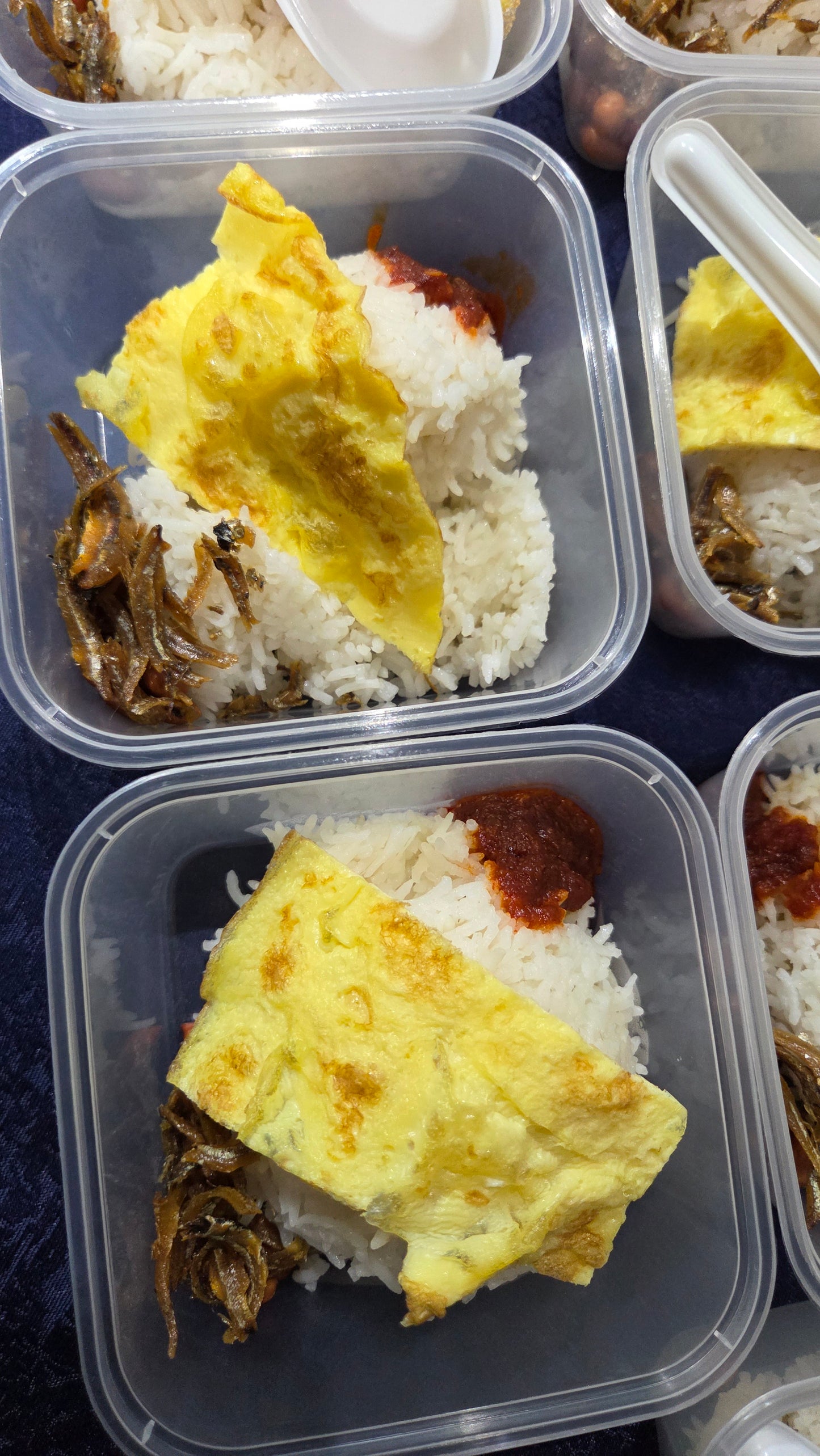 Economical Nasi Lemak Standard | Square Container - Serves 1 pax