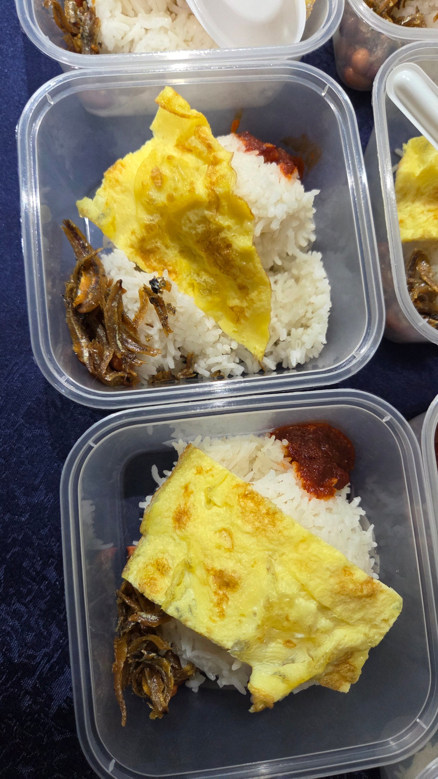 Economical Nasi Lemak Standard | Square Container - Serves 1 pax