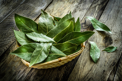 Bay Leaves (Daun Salam) / 50g