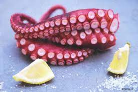 Frozen Octopus (Tako) (Tentacles) / 1kg (Pre-Order)